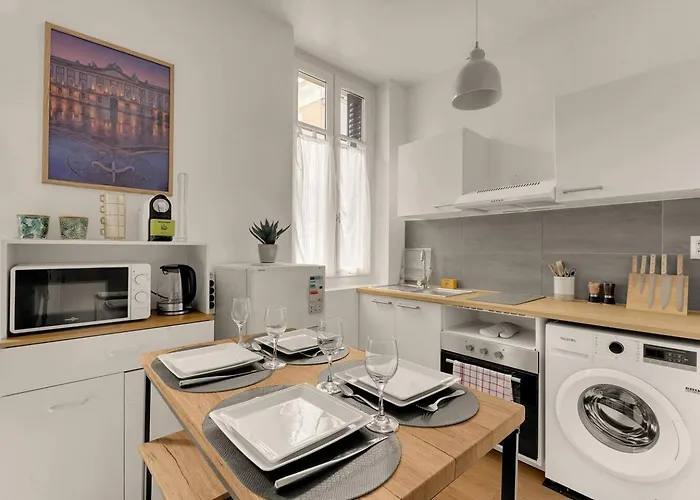 Chic & Cosy - Beau T2 Avec Parking Toulouse